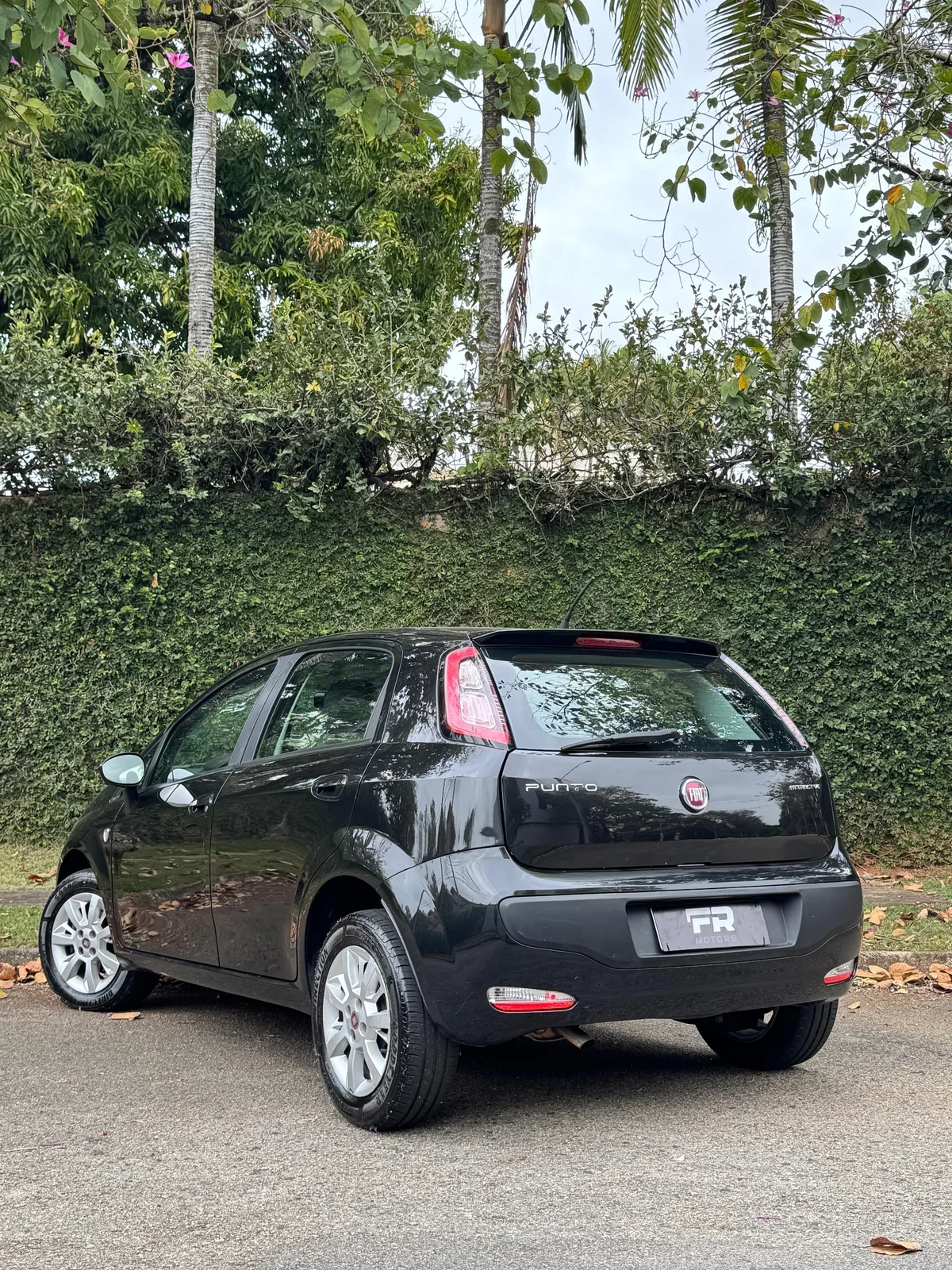 Miniatura 3